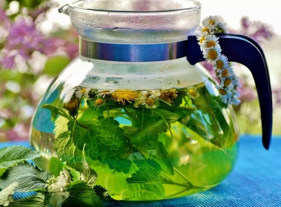 Infusión de recollida de herbas de varices